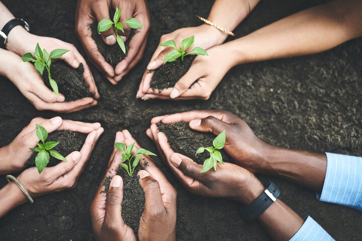 Hands holding healthy soil with visible roots and organic matter, symbolizing regenerative agriculture and soil health.